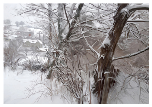 snow yard